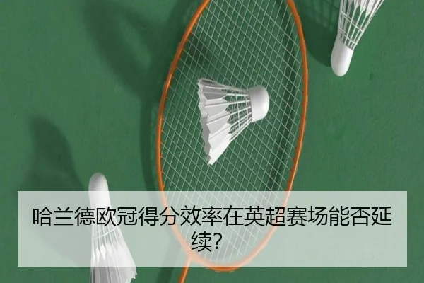 哈兰德欧冠得分效率在英超赛场能否延续？